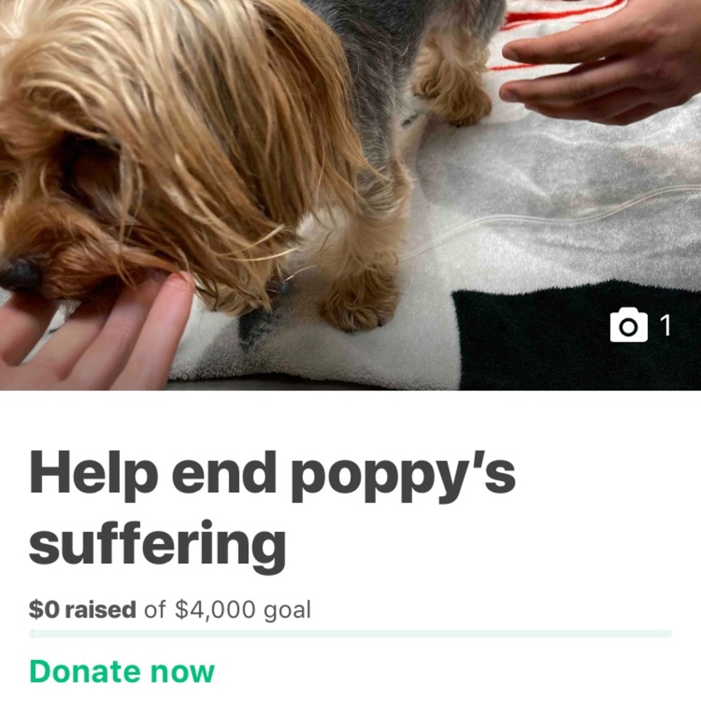Hope